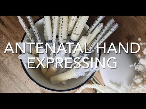 Antenatal hand expressing (colostrum harvesting).