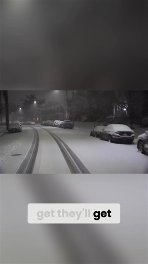 39K views · 257 reactions | We're navigating the St. Louis snowstorm, checking Dogtown streets and reporting on snowfall rates and icy bridges. See how the city plows are handling the winter weather and get travel advice. | KSDK News | Facebook