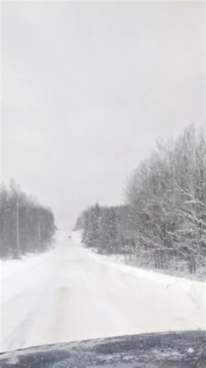 Mustang Rescue and Hay Donation Drive