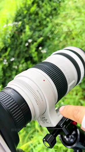 Canon 400mm f/5.6L EF USM Lens Zoom test & beautiful photography 🐞 8k