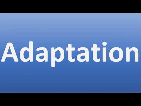 How to Pronounce Adaptation