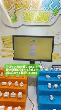 ひらがなキメラ研究所_実験記録