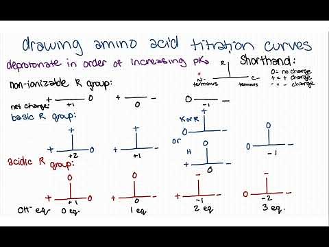 Drawing titration curves for amino acids - strategy, intuition, and examples