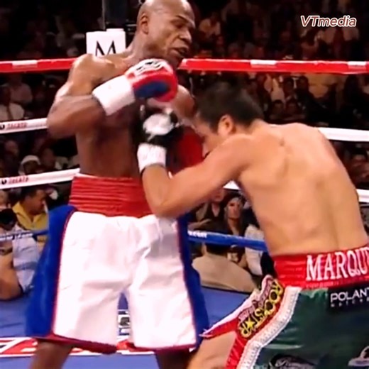 Floyd Mayweather Jr- Amazing highlights knockout | SFB