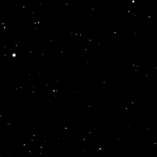 Minha Estrela Brilha: Corinthians e Flamengo em Destaque