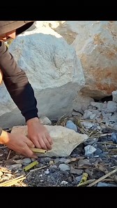 Top 6 make simple traps #traps #survival #survivaltips | Wild survival