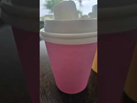 🌊✨ Welcome to beautiful Nambucca Heads ✨