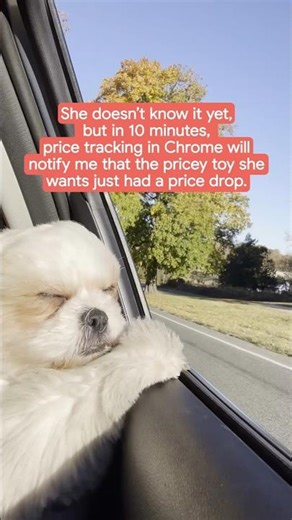 Price tracking helps you lovingly spoil your perfect little pup. Because they deserve it! 🐶