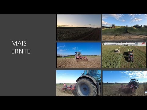 FarmVlog #7 Maisernte