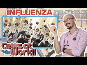 REAL Doctor reaction to Cells at Work! Anime review | Hataraku Saibou | Influenza