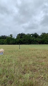 Our friends with Disney's Animals, Science and Environment team released a Short-tailed hawk this past week back to the Florida skies. This adult Short-tailed hawk was admitted to the Center’s Raptor Trauma clinic August 21 due to a collision with a vehicle. Luckily this bird didn’t have any broken bones, but after evaluation had an abrasion on his lower mandible, was anemic and had several parasites. After treatment and reconditioning this bird was ready to be released. Thank you to our Disney 