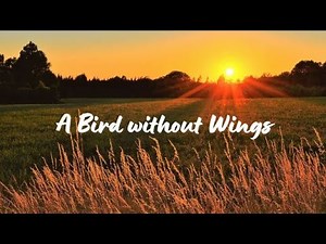 A Bird Without Wings - Celtic Thunder