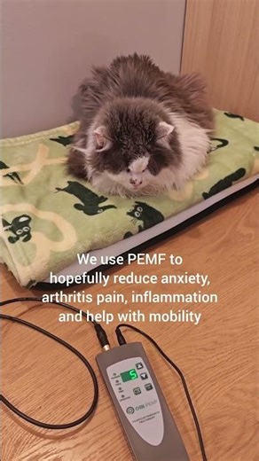 Daily PEMF therapy for Niti | OMI PEMF pad