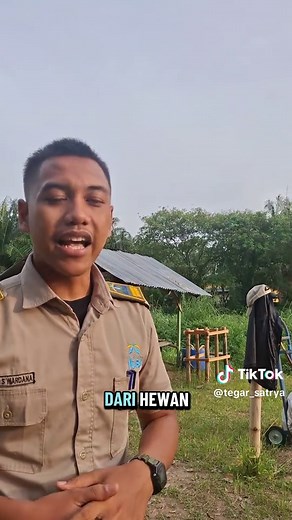 Pembuatan Pupuk Kompos Menggunakan Rumput dan Kohe