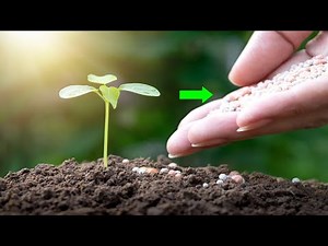 Watch how to sign 'fertilizer' in American Sign Language.