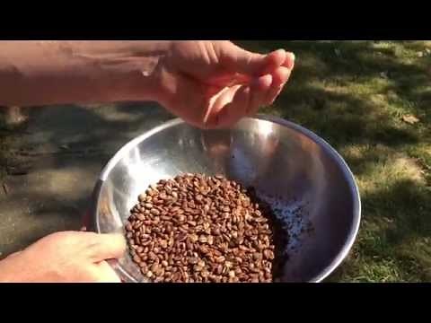 How to Roast Green Coffee Beans at Home. #RoastedCoffee
