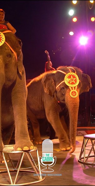 1.7K views · 29 reactions | When was the last time you have gotten out to explore the Baraboo area? Listen now to the newest episode on The Cabin Podcast, 'A Wisconsin Deep Dive: Baraboo', and prepare for your next trip! Click here: https://apple.co/38FHVPc This week's 'County of the Week' - brought to you by Wisconsin Counties Association, is Pierce County. Learn more: https://bit.ly/31i1Ja5 | Discover Wisconsin | Facebook