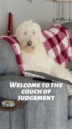 Dad Left Without Me?! #dogreaction #funnydog #toddthedog