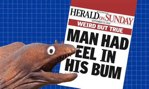 ‘Man had eel in his bum’: Remembering the story that almost broke the Herald