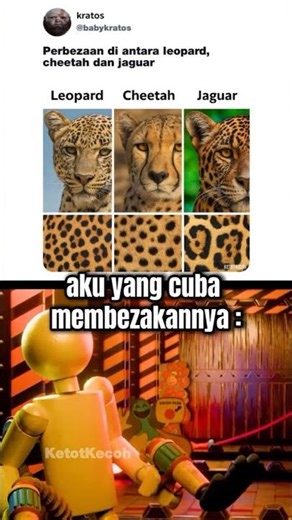 #icecream 🐆🐅