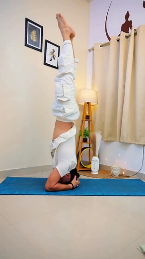 18K views · 130 reactions | Bina training ke sushasan karne ka matlab sidha yamraj ko bulava dena hai  #yoga #yogapose #comedy #funny #yogatrainer #yogaclass #reels #reelsviralvideo #trendingsongs | Rakesh Dhaka | Facebook