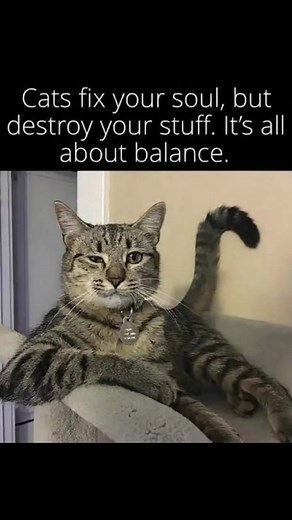 Life lesson. | Brian Lehmann