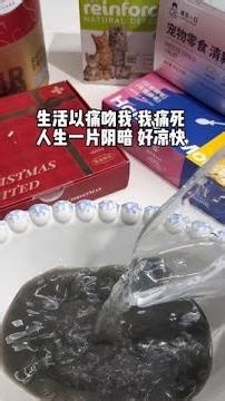 全体注意，开摆🥹#配粮 #助眠 #沉浸式 #新手养猫 #喂猫日记