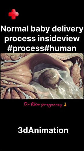 Normal baby delivery process insideview #process#human#newbabycare#pregnancy#3danimation