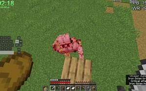 dream的速通记录被打破，精彩绝伦，咱们来学习一下吧