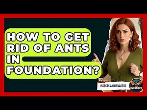 How To Get Rid Of Ants In Foundation? - Insects and Invaders
