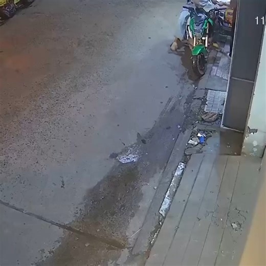 Hóng Hớt Đường Phố on Instagram: "Vào khoảng 20h50 tối ngày 11/10/2025, 2 bạn đang di chuyển trên đường 3/2 (Cần Thơ). Khi rẽ vào hẻm 51, bất ngờ có một bạn nam chạy xe với tốc độ cao, suýt va chạm Sống sao cho vừa lòng thiên hạ…"