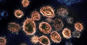 Health experts: Nearly all of Hamilton County a hot spot for COVID-19