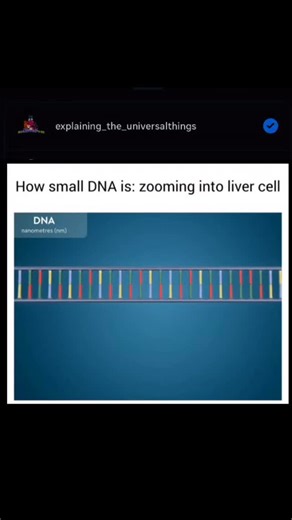 Universal things on Instagram: "DNA(Deoxyribonusleicacid) Invisible part 🧬 🎥 yourgenome (yt) #biology #dnabiology #cellandmolecularbiology #medicalstudents #geneticslab #explore #viral #amazing #universalorlando #experiment #science #technology #reels #dna #dnagenetics #invisibledna #cells #biology #molecularbiology #medical #yourgenome"