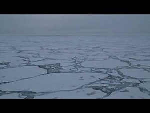 Strongest Arctic cyclone on record led to surprising loss of sea ice