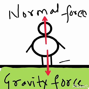 WHAT IS NORMAL FORCE