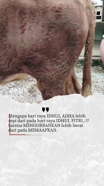 Kurban bukan hanya kambing dan sapi, tapi egonya yg harus di relakan... Selamat Hari Raya Idul Adha 1446 H. Semoga semangat berkurban menjadi inspirasi dalam bekerja dan melayani.... Berkorban bukan sekedar seremonial... tapi bukti taat, rasa bersyukur dan cinta kepada Allah SWT #CapCut