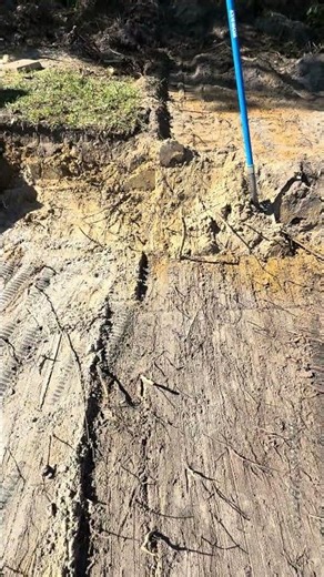 Septic leach field excavation