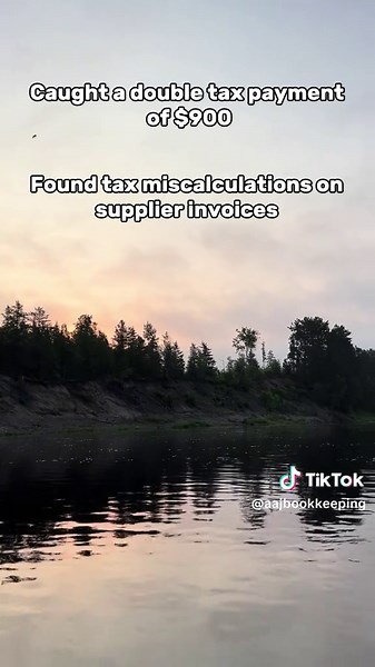 Curious how a bookkeper can help your small business? Lets talk about it! . #bookkeeping #womenownedbusiness #financetips #womenentrepreneurs #virtualbookkeeper #canada #canadiansmallbusiness