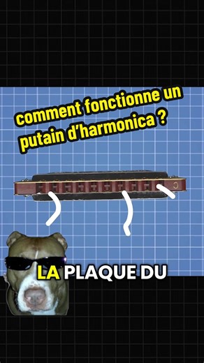 Comment fonctionne un putain d’harmonica ? #education #harmonica #apprendre
