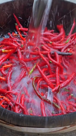 This is how traditional fermented chili paste is REALLY made... A fascinating look into the art of food preservation. She uses an ancient method, fermenting the chili mixture for a full month to develop deep, complex flavors. | Village Life Adventure