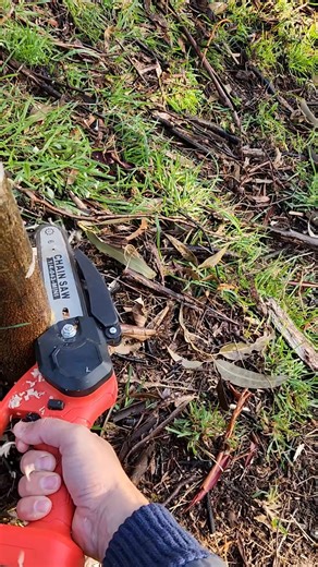 Mini chainsaw spitting chips! Get yours here 👇 https://fireandsaw.com/best-mini-chainsaw/ | Fire And Saw