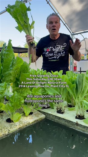 Your garden and your fish… working together like best friends. 🐟🌱 Come check out our real aquaponics system this Saturday at 10:30AM during our FREE Growing Class! We’ll show you how everything works — and how you can start growing right where you are, even if you think you “don’t have a green thumb.” (We’ll help you find it. 😉) It’s fun, hands-on, and you’ll leave feeling like you can grow anything! 📍 A Land of Delight Natural Farm 2514 Leaning Pine Ln, Plant City, FL 💬 Comment LEARN and w