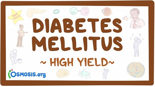 Diabetes mellitus: Pathology review: Video, Causes, & Meaning | Osmosis