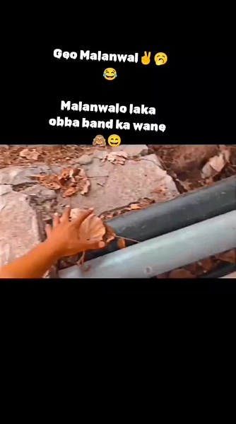 Parachinar news (@parachinar.news3)’s videos with original sound - Parachinar news