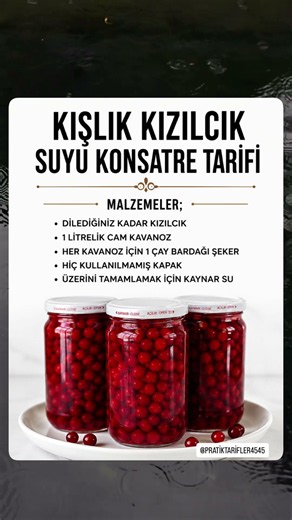 KIŞLIK KIZILCIK KONSERVESİ🍇 #keşfet #konserve #kızılcık #komposto #youtubeshorts #evyapımı #viral