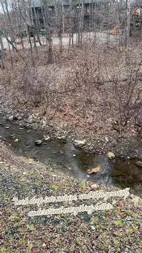 "Look deep into nature, and then you will understand everything better...