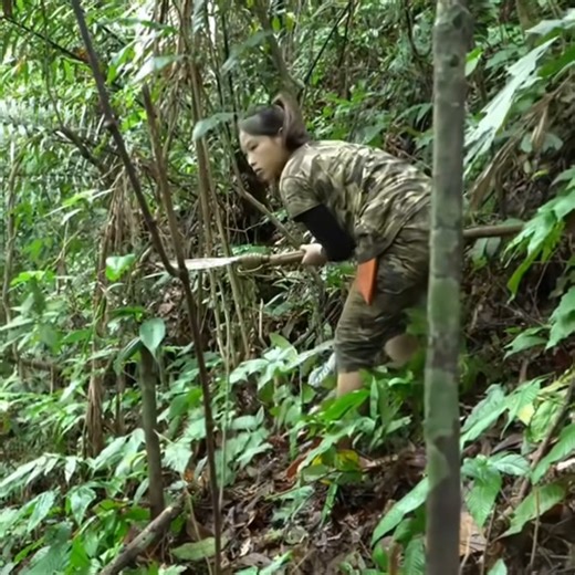 140K views · 1.6K reactions | The forest is my home now, and I'm loving every minute of it | Accessories Store | Facebook