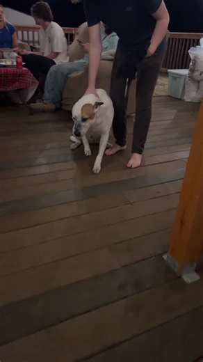 Buried Christmas Present in Fire Pit