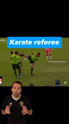 Referee Channel on Instagram: "Referee gets attacked and responds with a karate kick. Did he have all right in the world to protect himself in this way?"