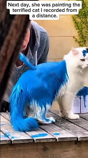 Saved a White Cat from Cruel Owner | Shocking Animal Abuse